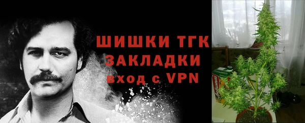 мдпв Верхний Тагил