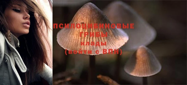 прущая мука Волоколамск