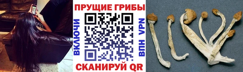 Галлюциногенные грибы ЛСД Ивангород