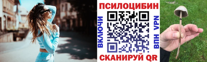 сайты даркнета Telegram  blacksprut как зайти  Псилоцибиновые грибы Psilocybe  Ивангород  наркошоп 